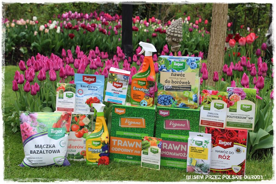 Tulipanowy ogród 59