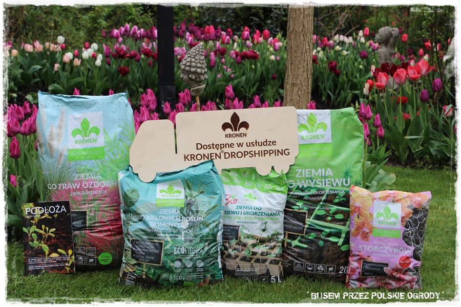 Tulipanowy ogród 60