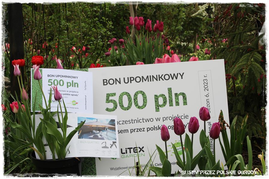 Tulipanowy ogród 63