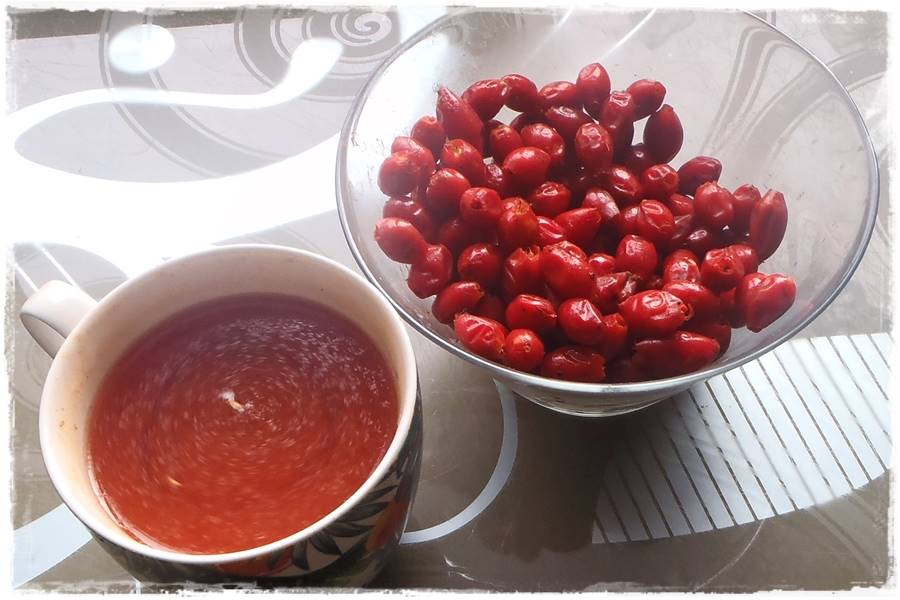 ciecie roz 31 ciecie roz 31