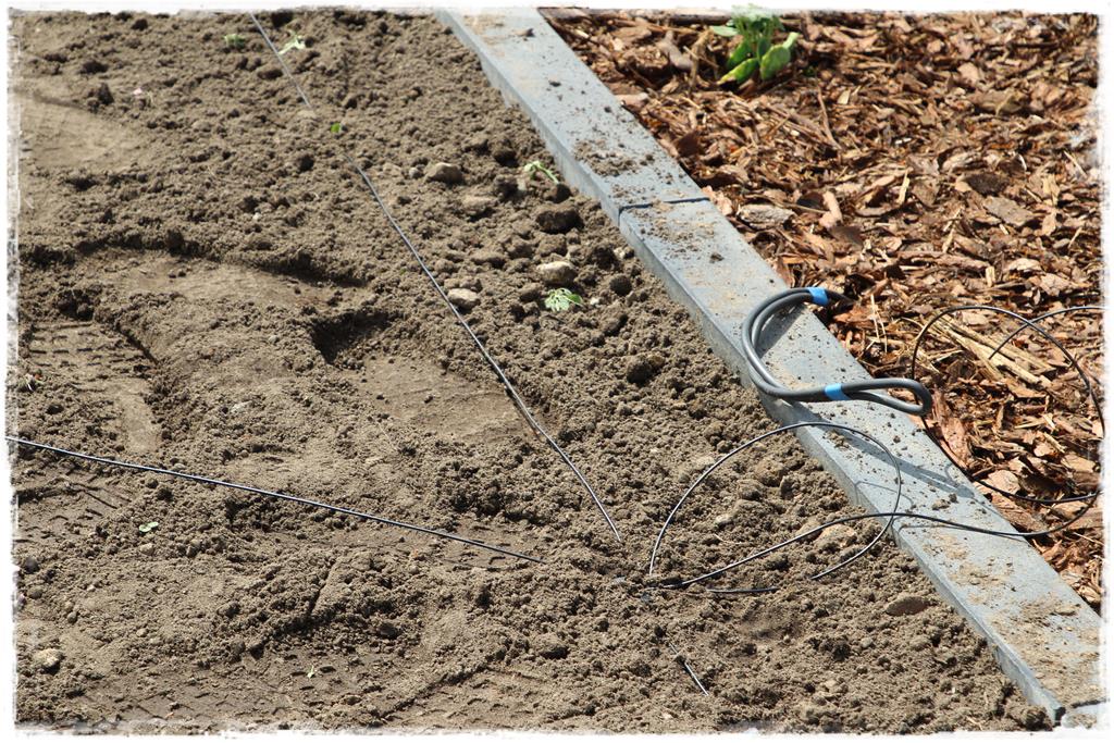 montaż robotów koszących 11