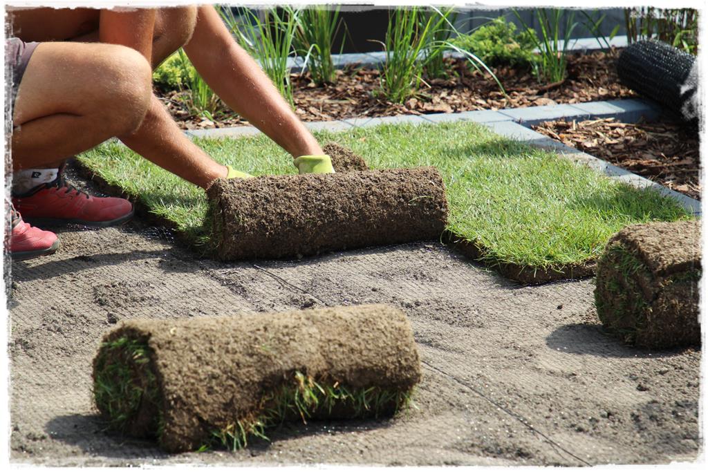 montaż robotów koszących 14 montaż robotów koszących 14