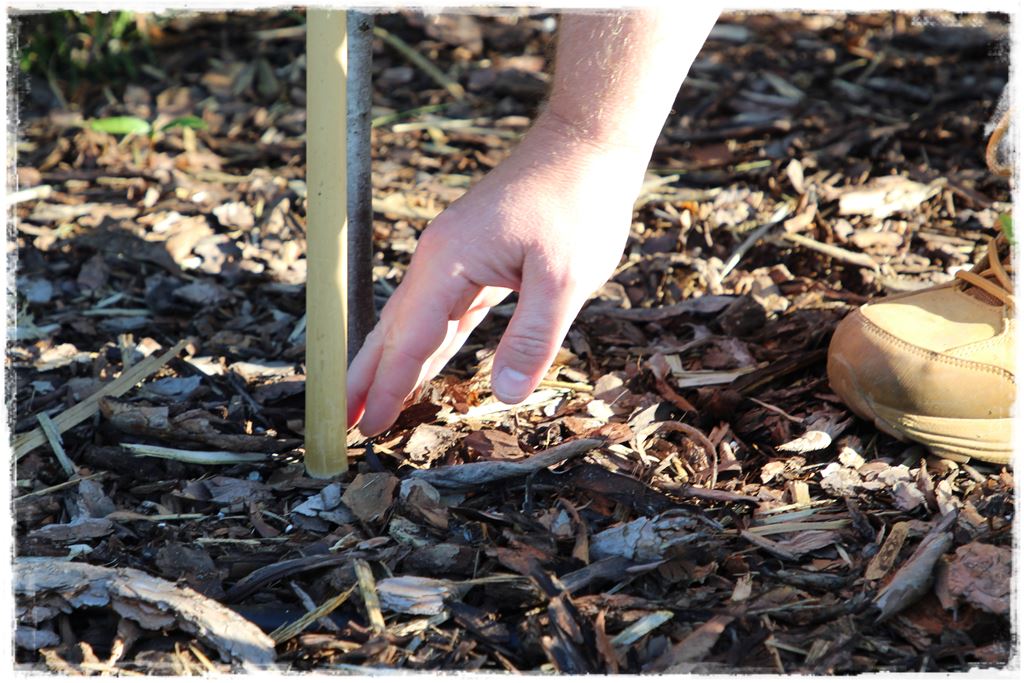 nawóz uniwersalny 6