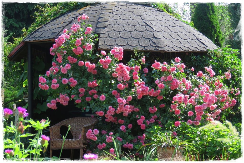 Jak osłonić się przed słońcem 10 Jak osłonić się przed słońcem 10