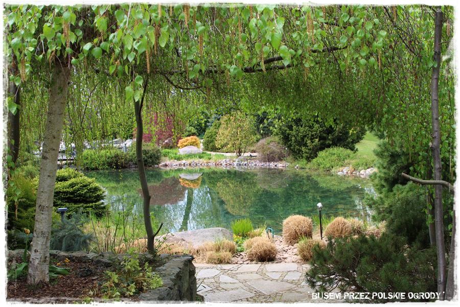 Jak osłonić się przed słońcem 15 Jak osłonić się przed słońcem 15