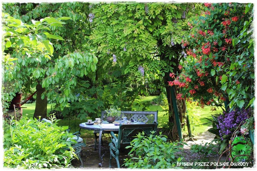 Jak osłonić się przed słońcem 16 Jak osłonić się przed słońcem 16