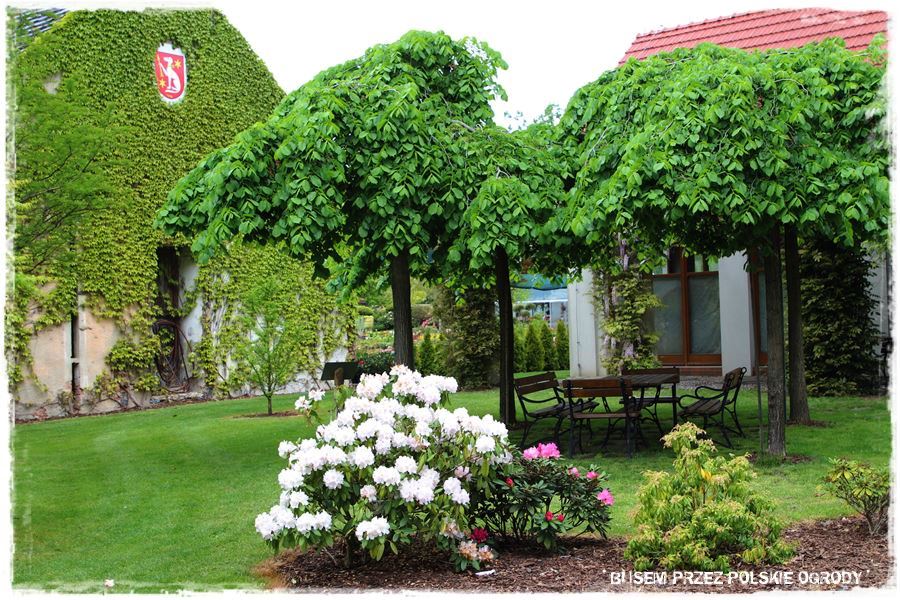 Jak osłonić się przed słońcem 17 Jak osłonić się przed słońcem 17