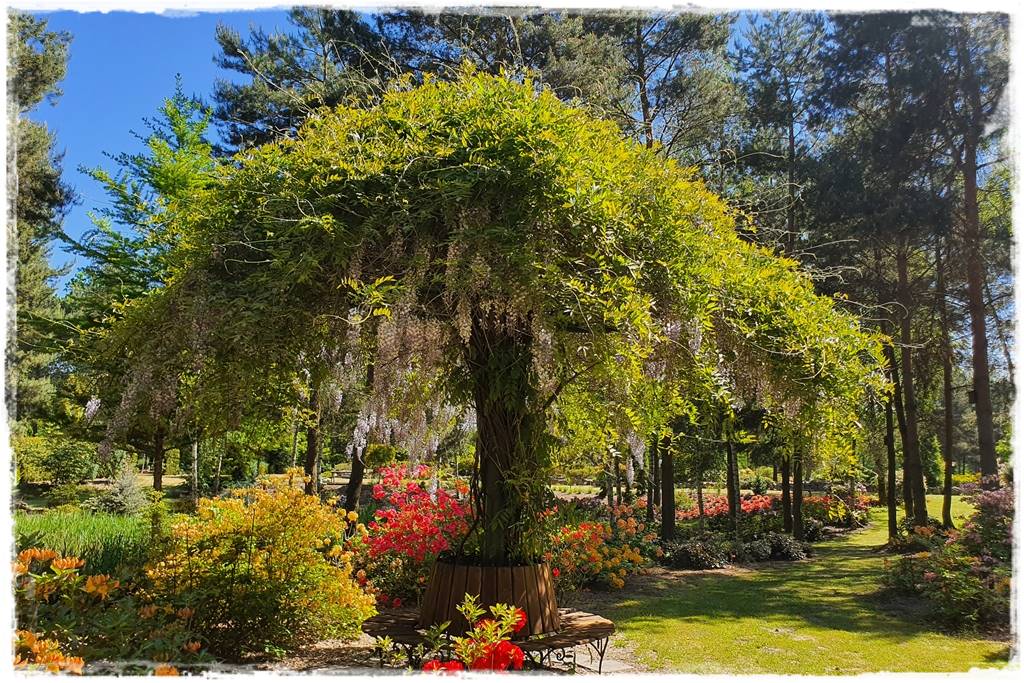 Jak osłonić się przed słońcem 18