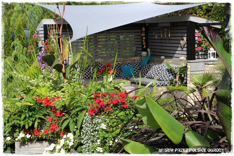 Jak osłonić się przed słońcem 21 Jak osłonić się przed słońcem 21