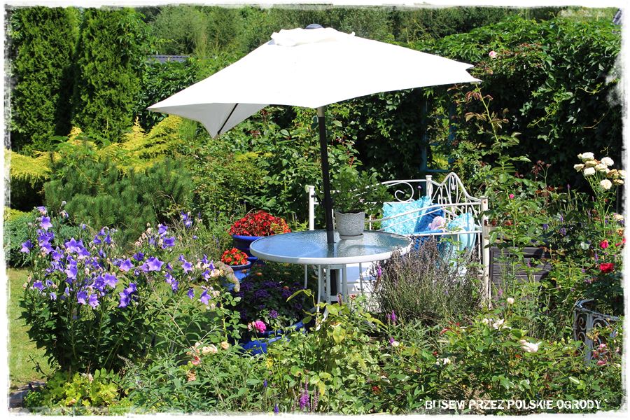 Jak osłonić się przed słońcem 23