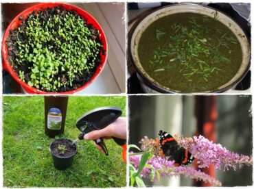 Jak wspomóc ukorzenianie 1