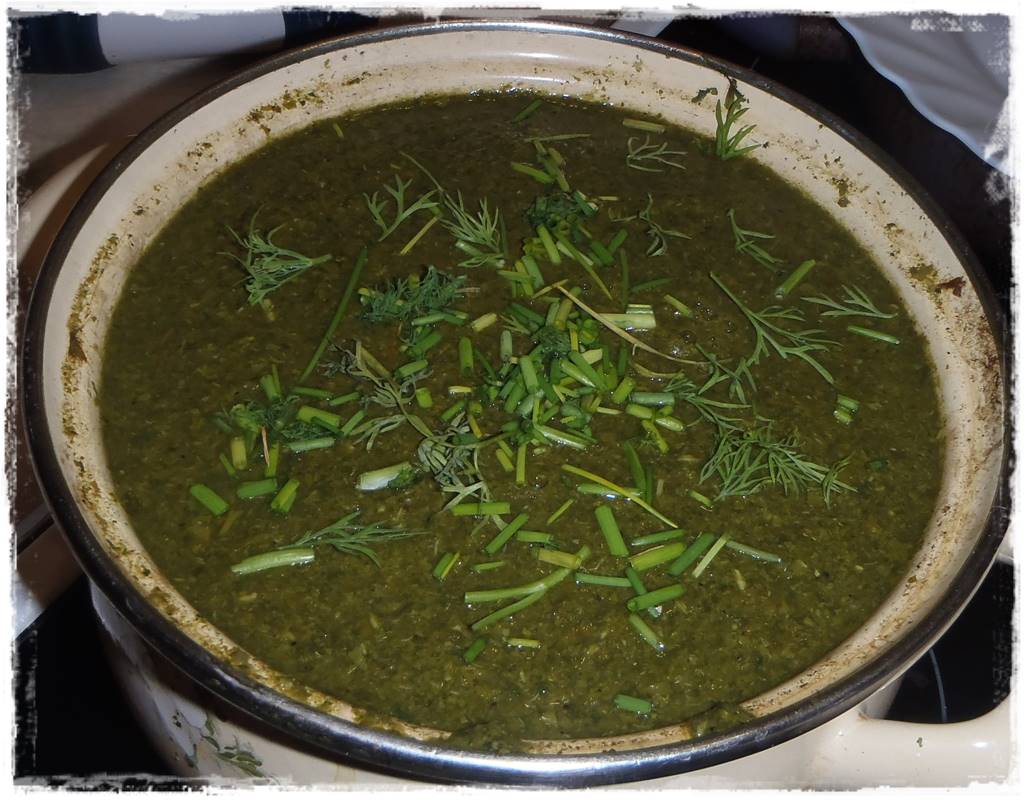 Jak wspomóc ukorzenianie 5