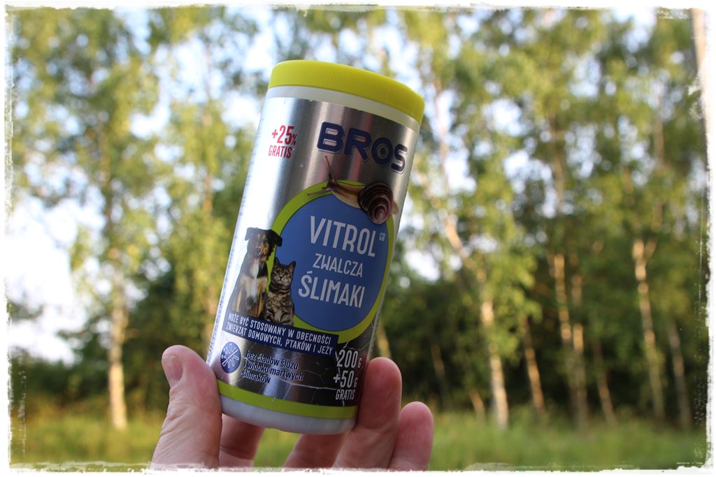 Jak zwalczyć ślimaki 11