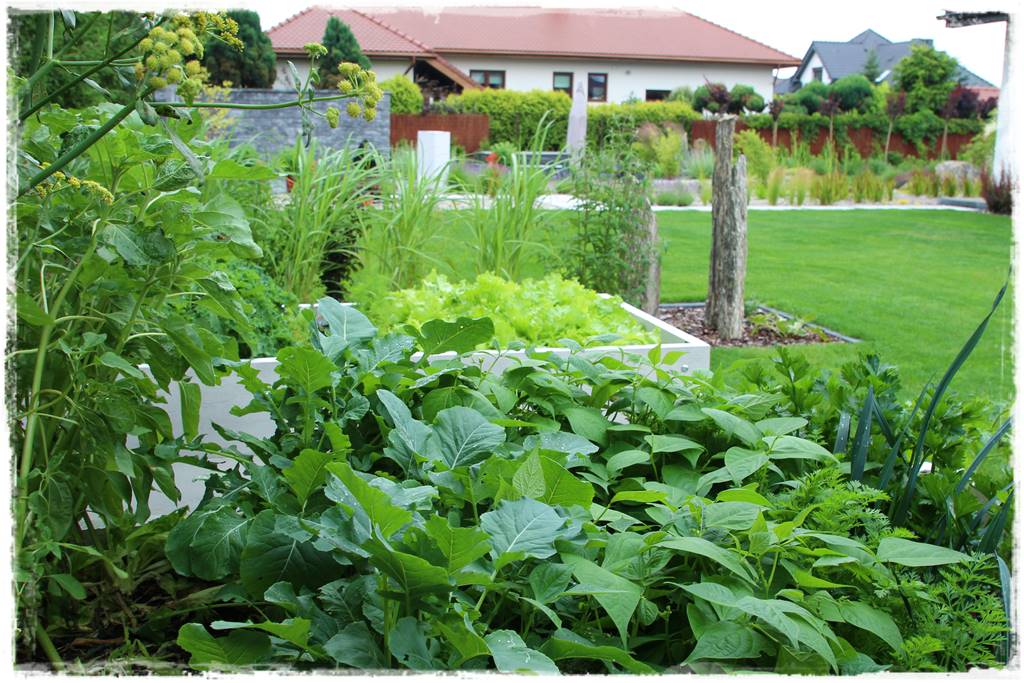 Ogród bez chemii 16a