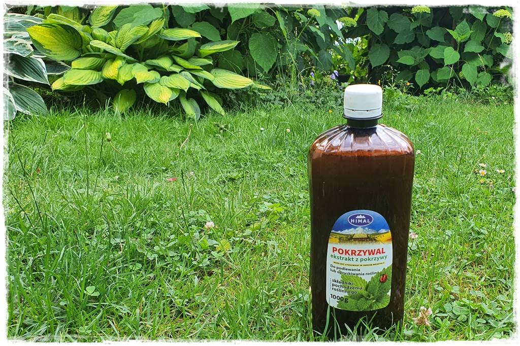 Ogród bez chemii 17