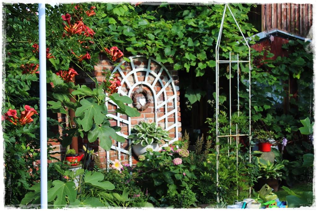 Ogród w stylu śródziemnomorskim 16