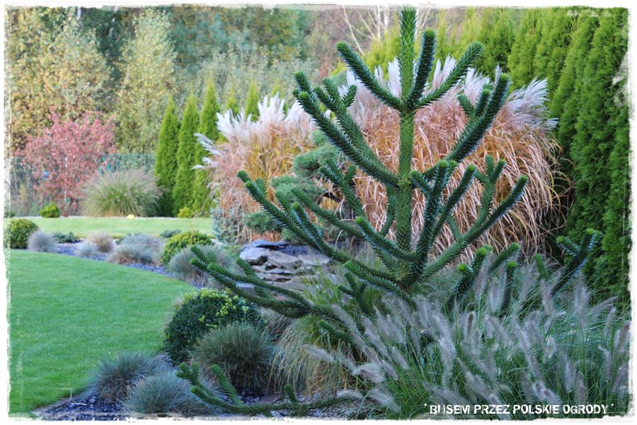 Ogród w stylu śródziemnomorskim 18