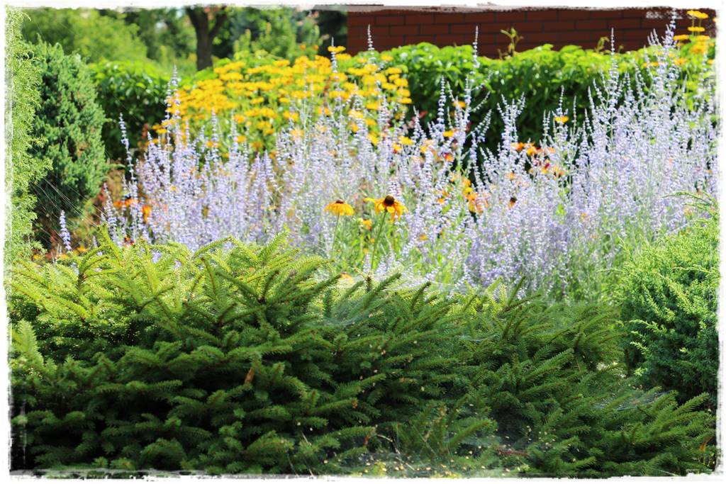 Ogród w stylu śródziemnomorskim 27