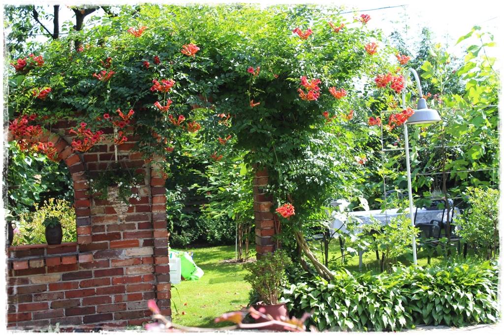 Ogród w stylu śródziemnomorskim 37