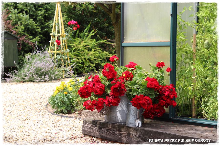 Ogród w stylu śródziemnomorskim 42