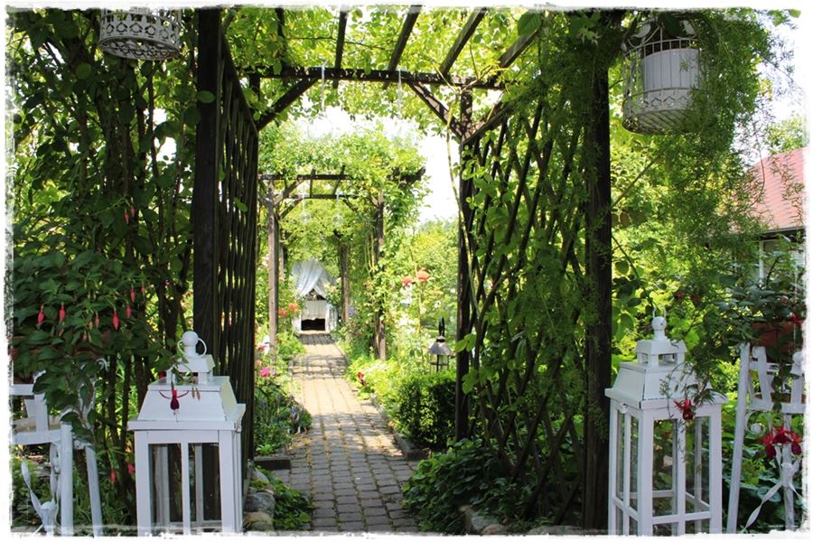 Ogród w stylu śródziemnomorskim 52