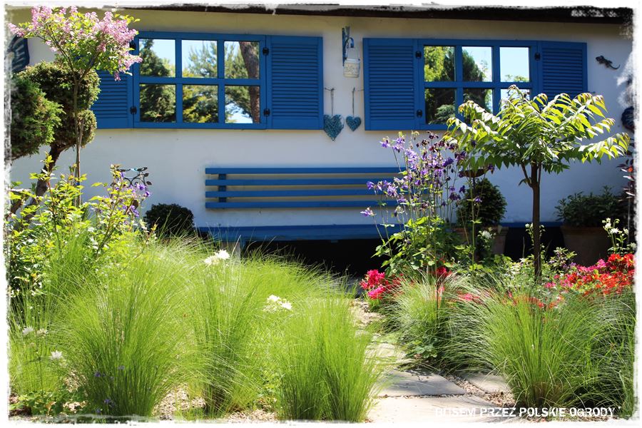 Ogród w stylu śródziemnomorskim 59