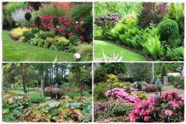 Rośliny do cienia 0