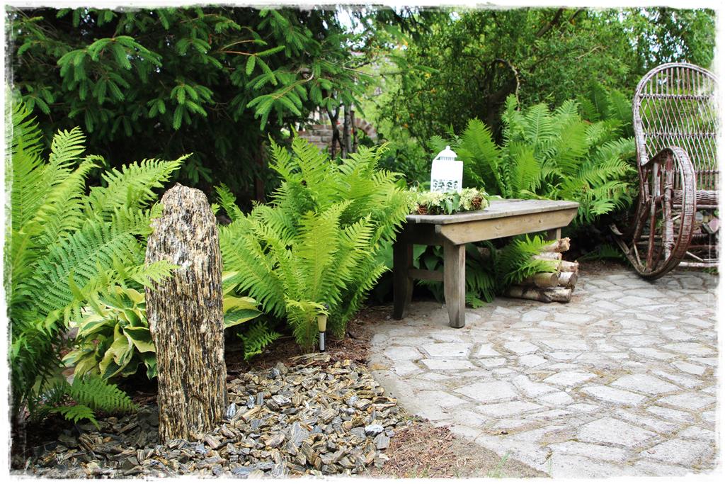 Rośliny do cienia 10c