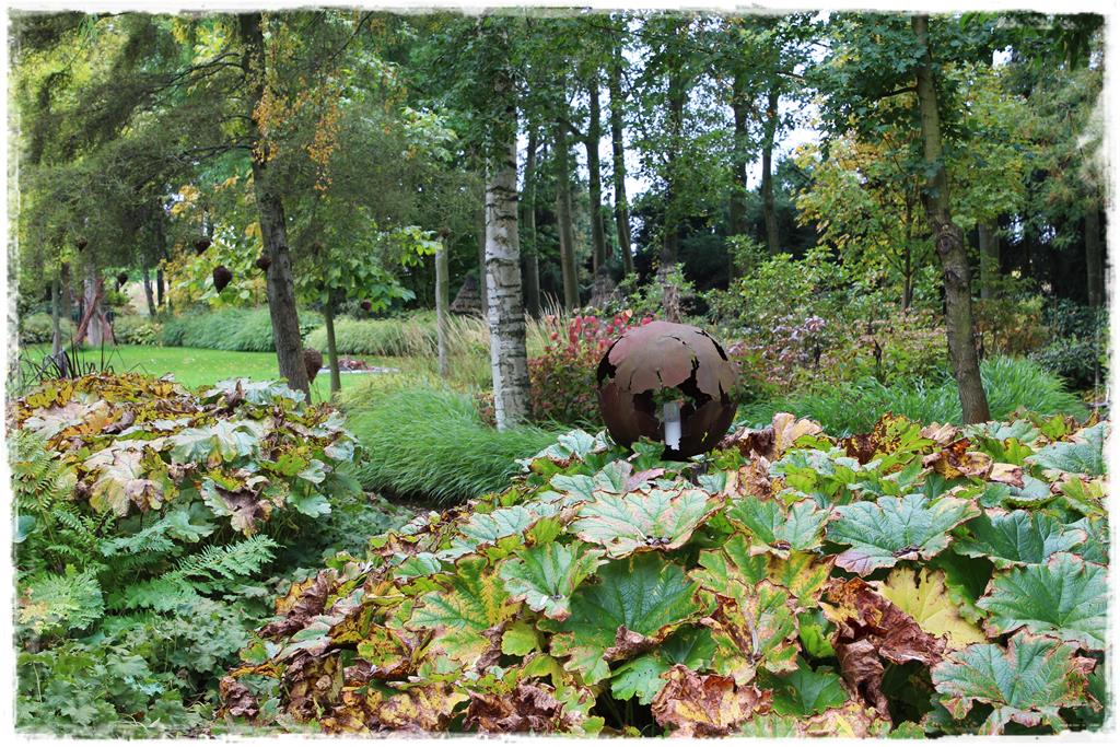 Rośliny do cienia 14