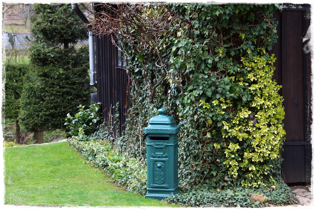 Rośliny do cienia 1b