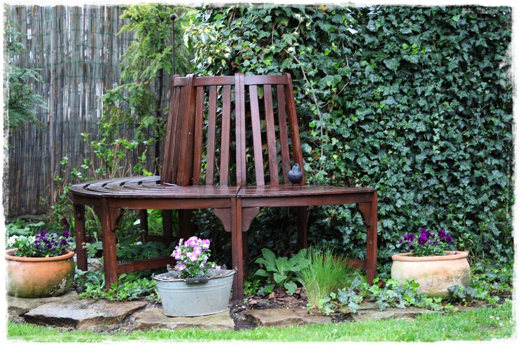 Rośliny do cienia 1e