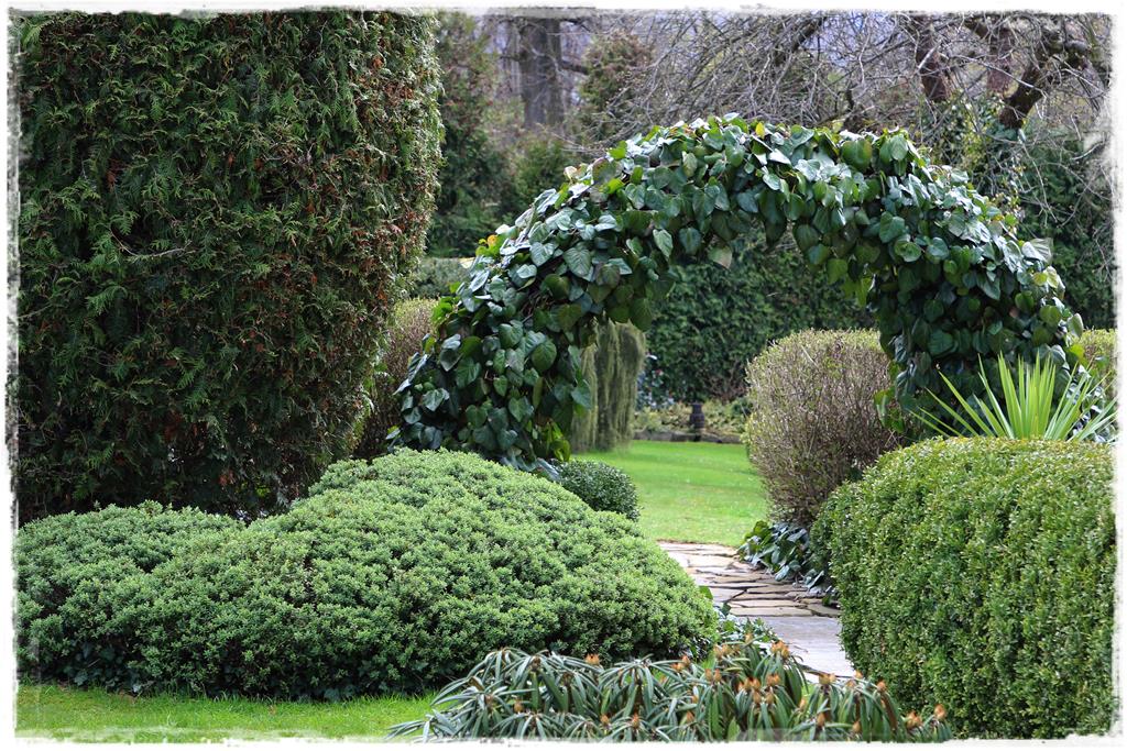 Rośliny do cienia 1f