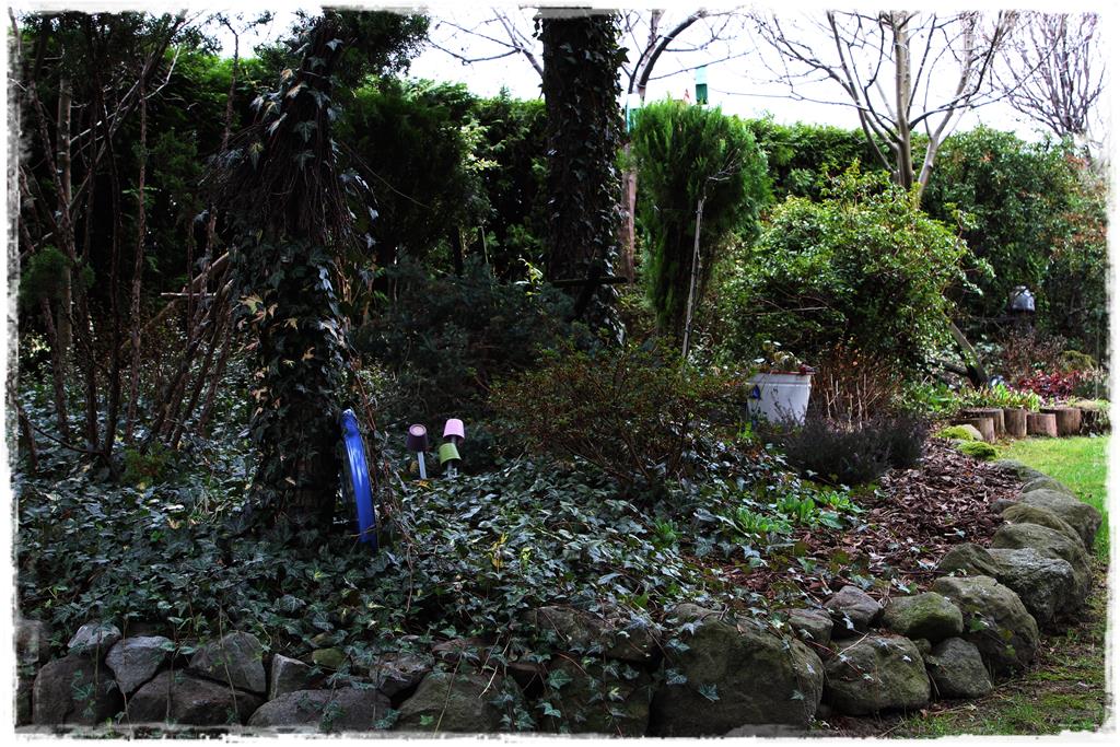 Rośliny do cienia 1h