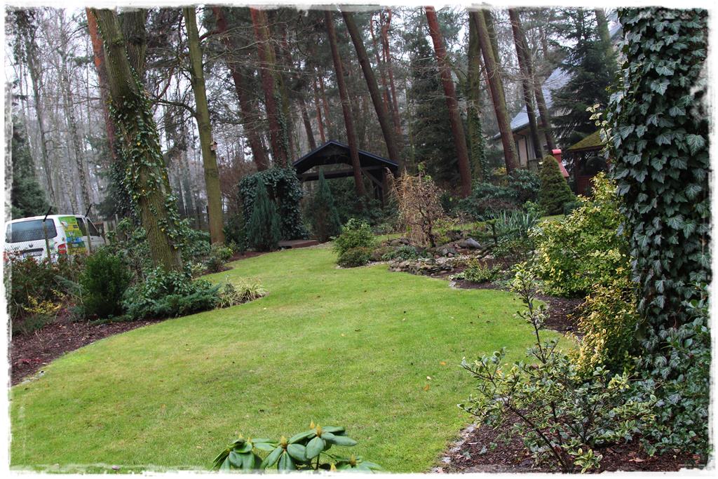 Rośliny do cienia 1i