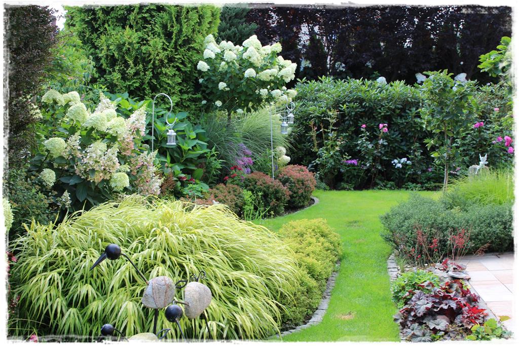 Rośliny do cienia 2