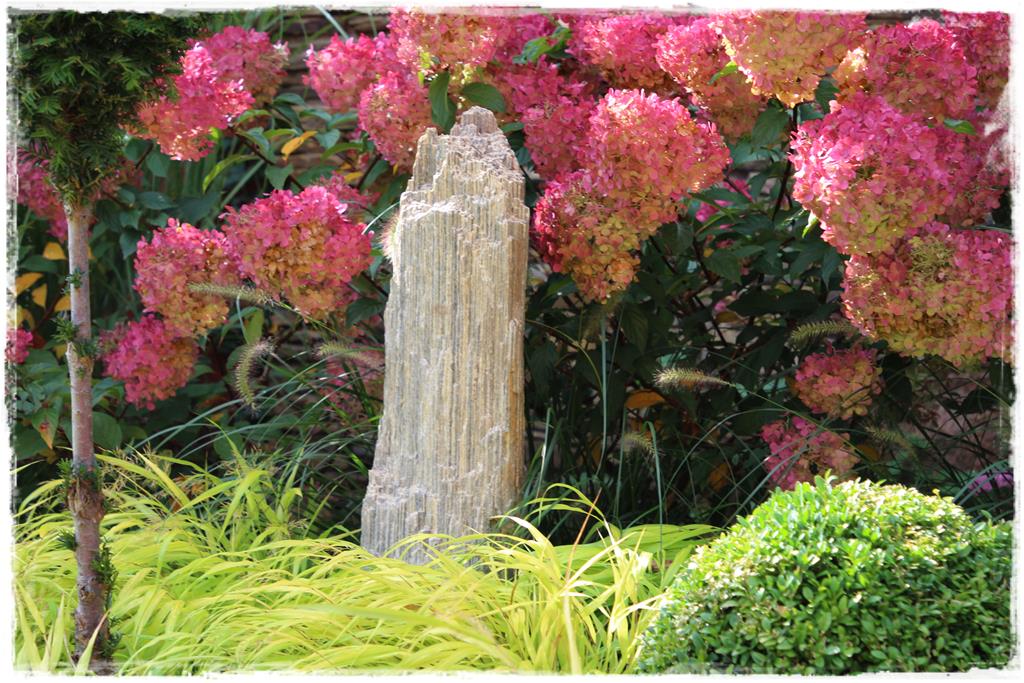 Rośliny do cienia 2e