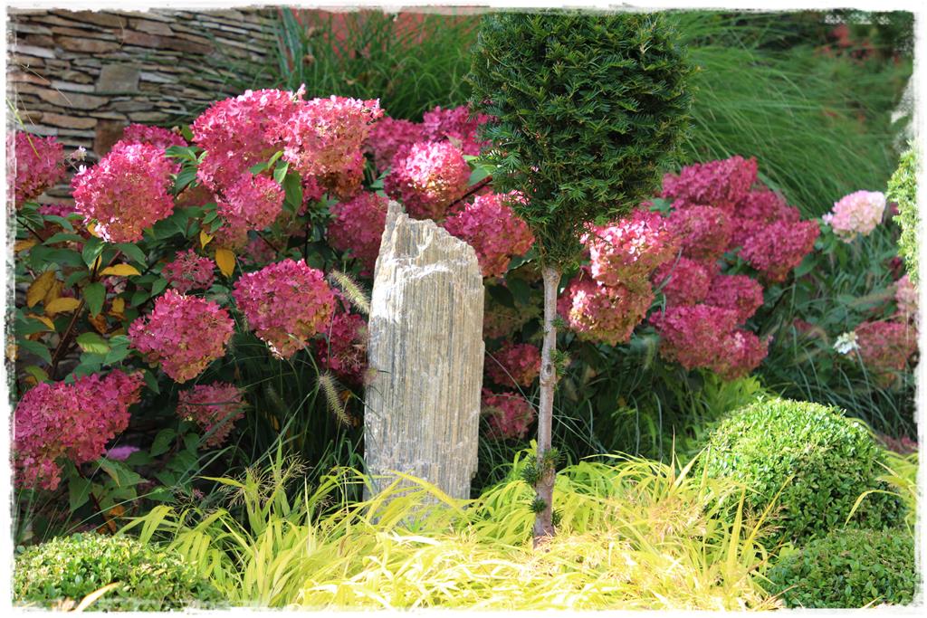 Rośliny do cienia 2g