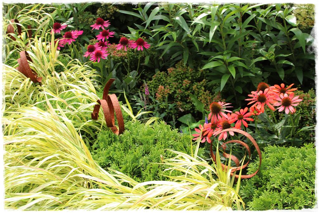 Rośliny do cienia 2i