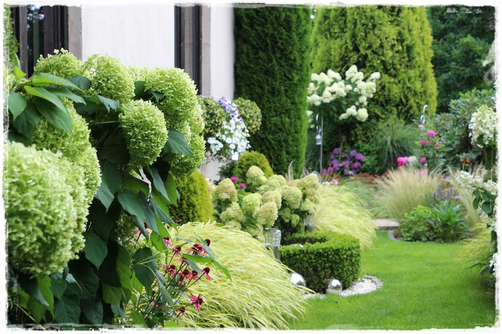 Rośliny do cienia 2k