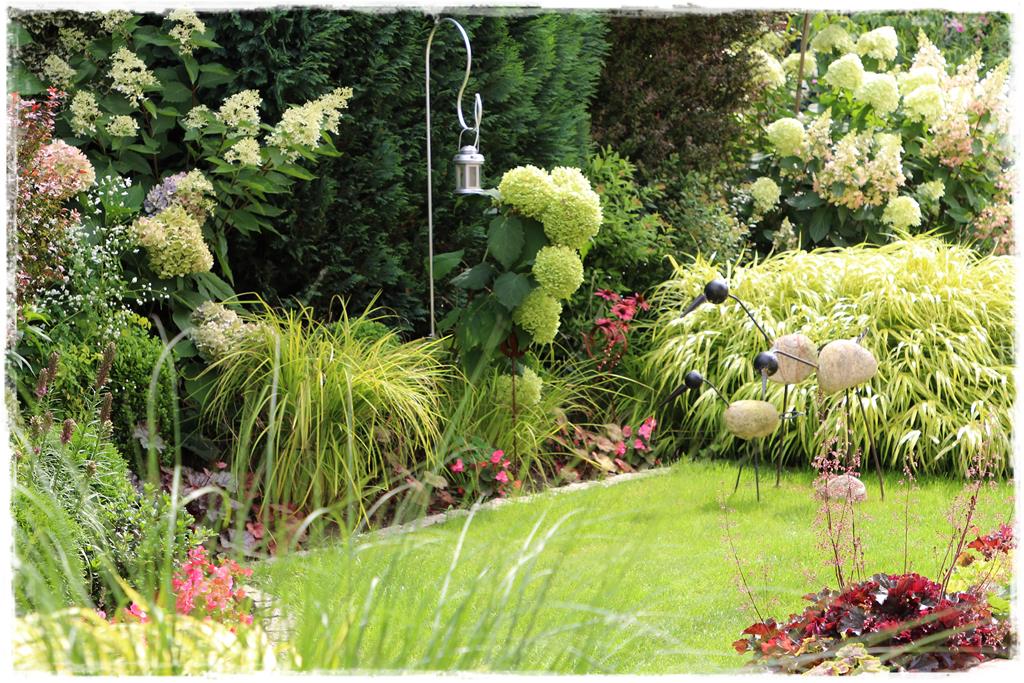 Rośliny do cienia 2l