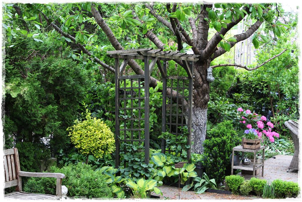 Rośliny do cienia 3e