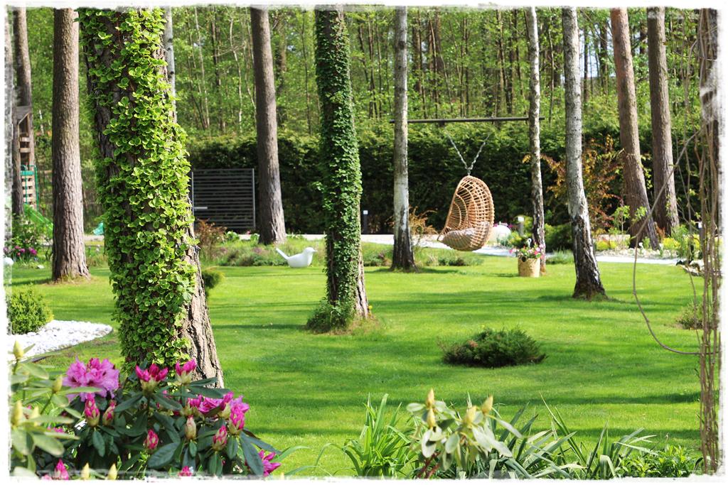 Rośliny do cienia 3g