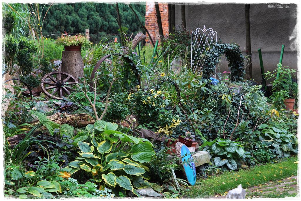 Rośliny do cienia 4b