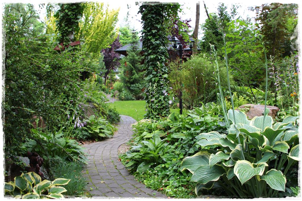 Rośliny do cienia 4c