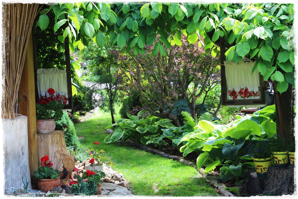 Rośliny do cienia 4f