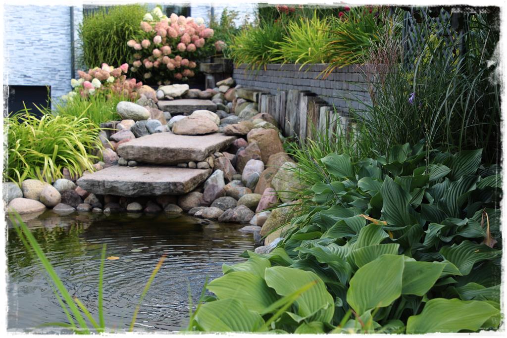 Rośliny do cienia 4k