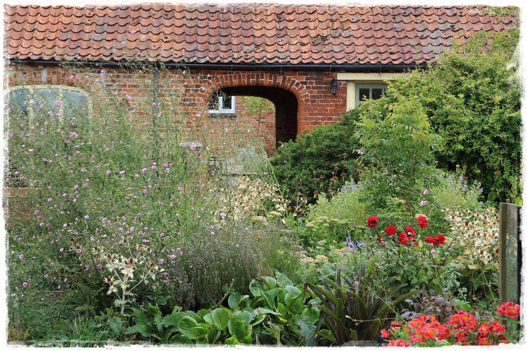 Rośliny do cienia 5c