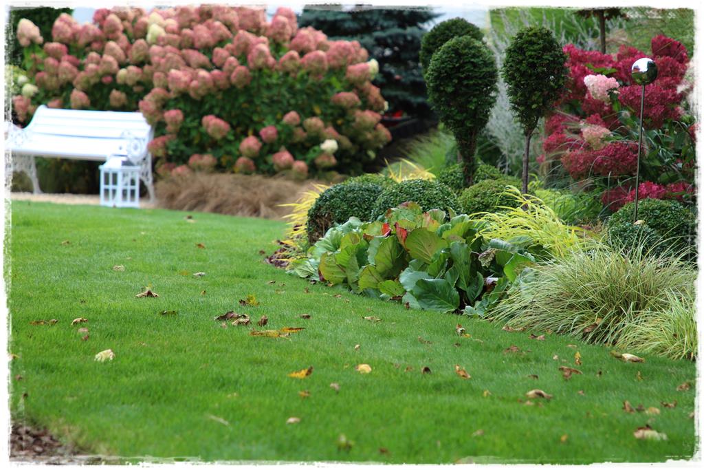 Rośliny do cienia 5d