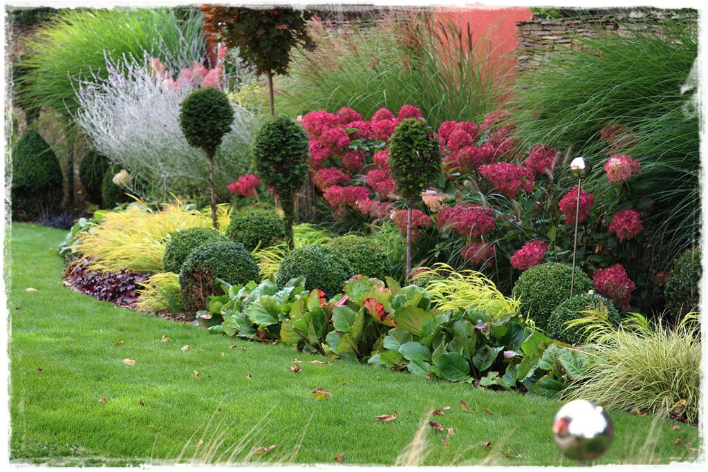 Rośliny do cienia 5e