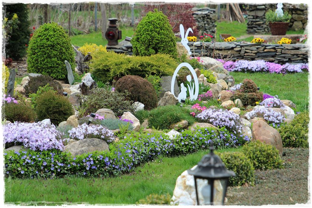 Rośliny do cienia 6